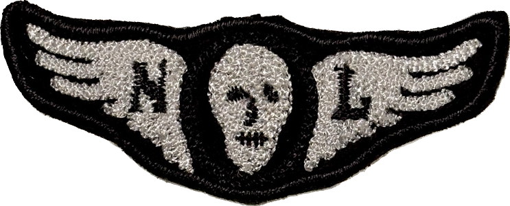 Flying Skull Patch